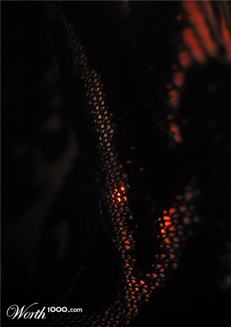 Photography by Titotranscom