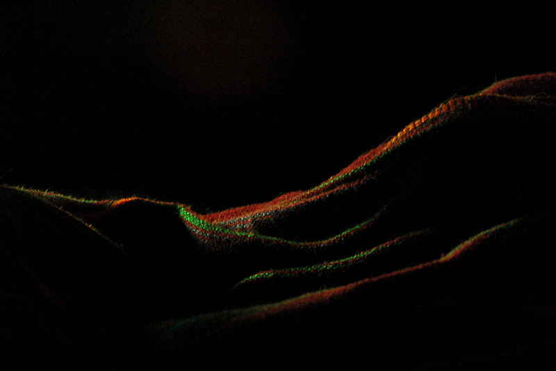 Photography by InherentHorizon for DesignCrowd (Community Contests) | Design #8969345