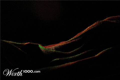 Photography by InherentHorizon