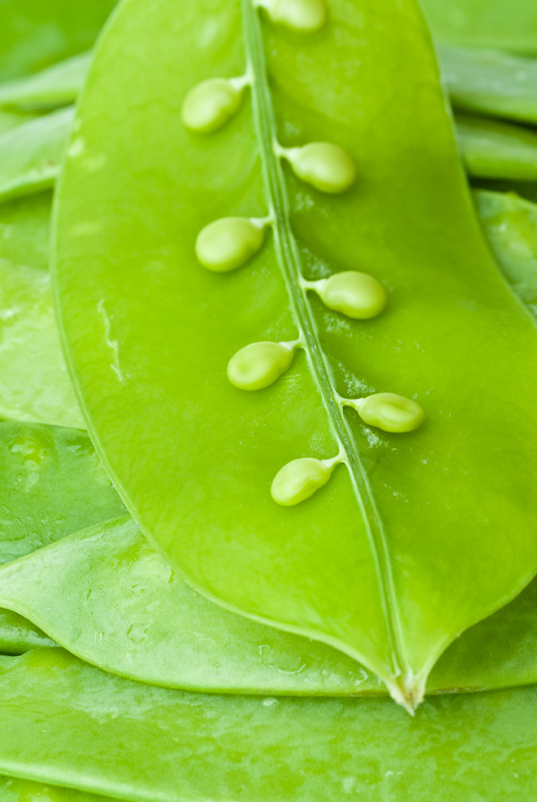 Photography by poisonberry for DesignCrowd (Community Contests) | Design #8969241