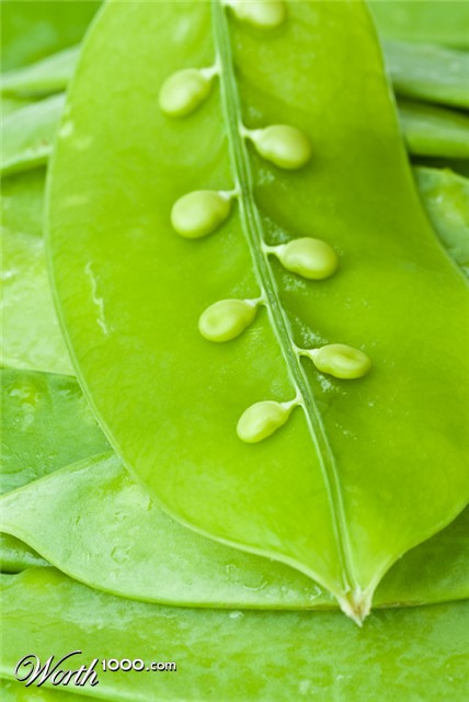 Photography by poisonberry