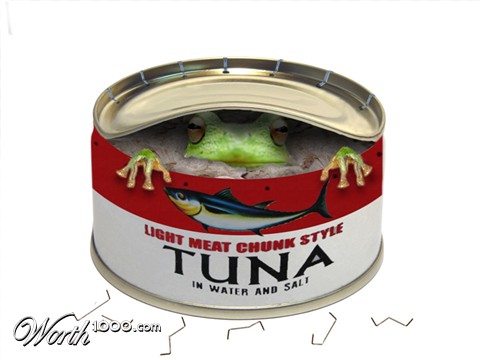 Photoshop Design by hetster