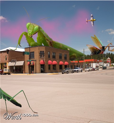 Photoshop Design by RiyoShijo