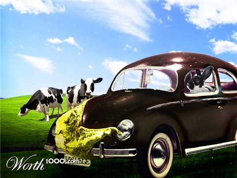 Photoshop Design by PlasticRabbit