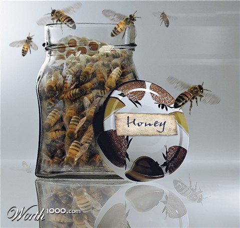 Photoshop Design by Kovievi