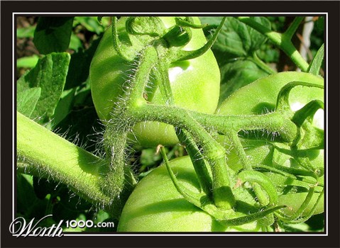 Photography by rocky0009