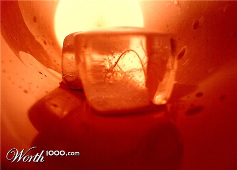 Photography by taniamindi