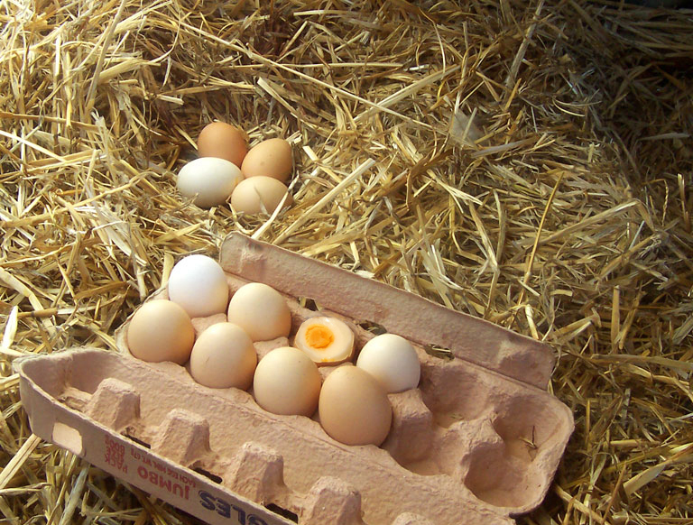 Design Photoshop par bicyclewilli pour DesignCrowd (Community Contests) | Design #8971270