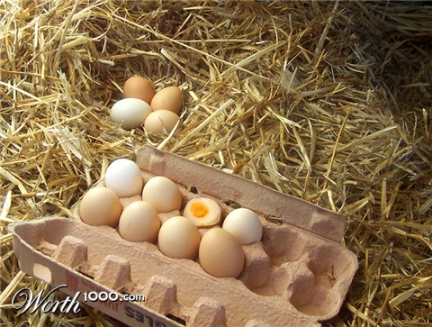 Photoshop Design by bicyclewilli