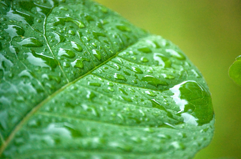 Photography by chronus24 for DesignCrowd (Community Contests) | Design #8969287