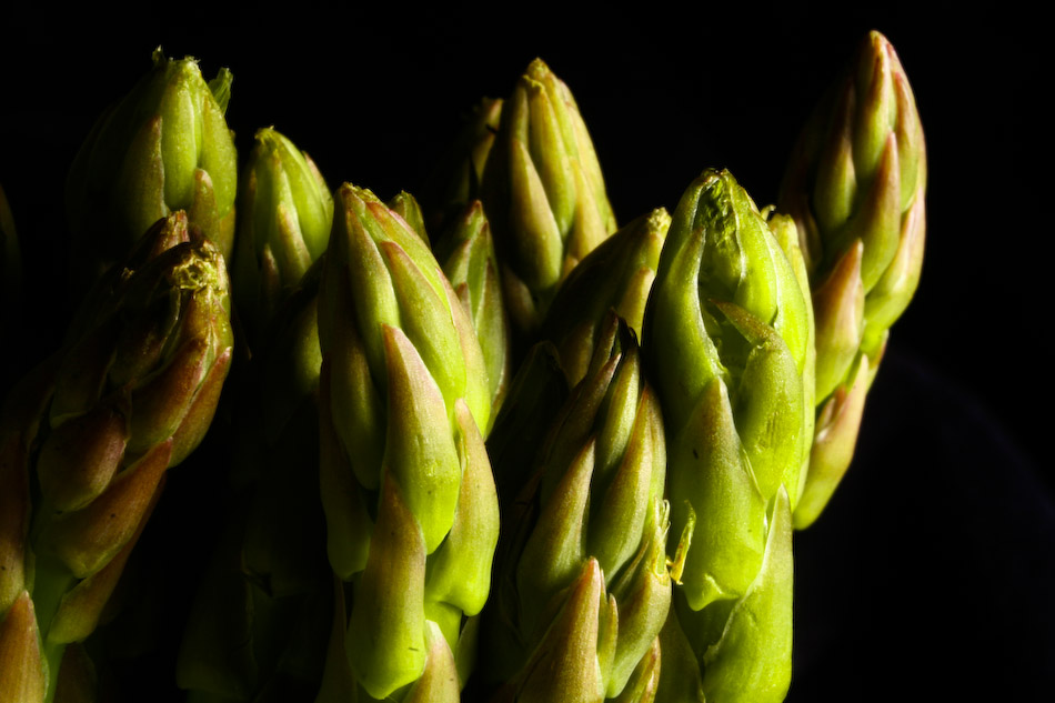 Photography by pbennett for DesignCrowd (Community Contests) | Design #8969251