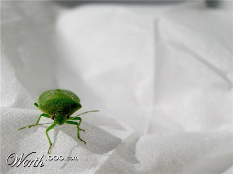 Photography by Markb120