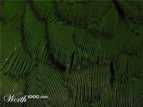 Photography by jaredb93max