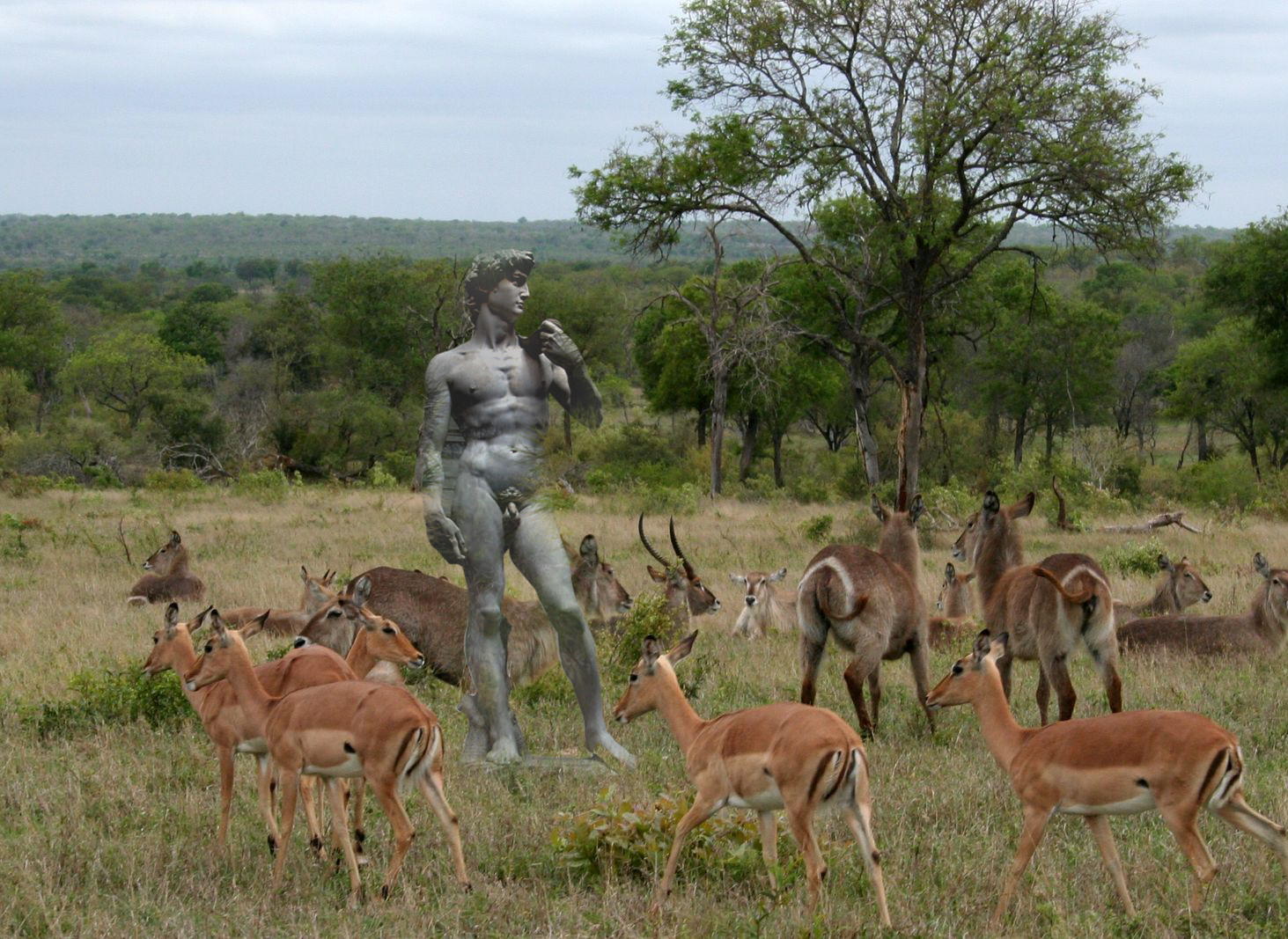 Design Photoshop par EKelman pour DesignCrowd (Community Contests) | Design #8974037