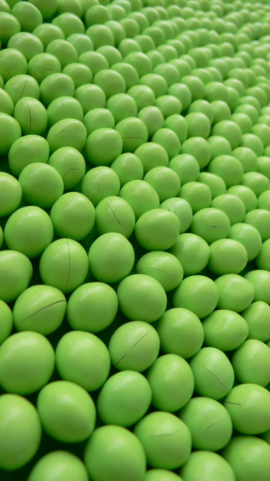 Photography by sausirhi for DesignCrowd (Community Contests) | Design #8969337