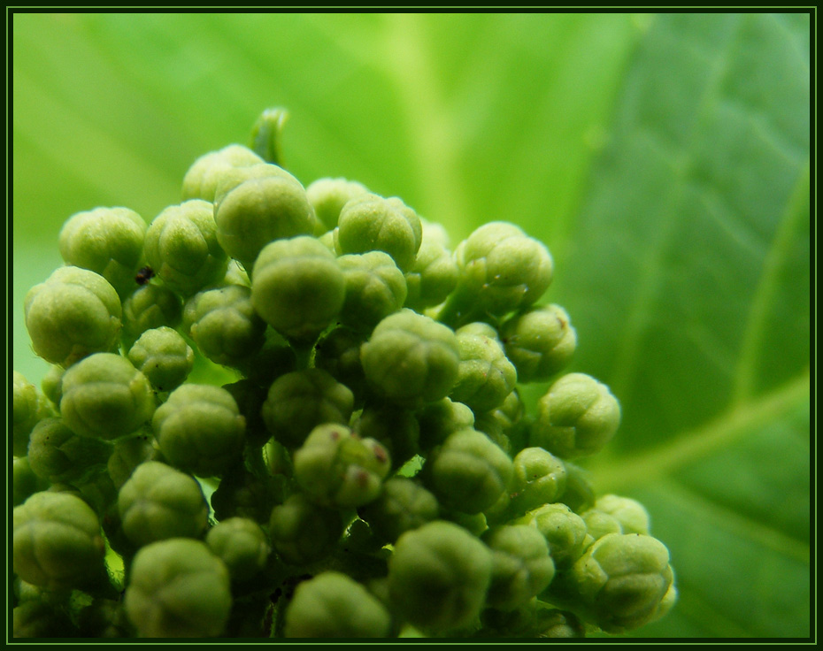 Photographie par Feature pour DesignCrowd (Community Contests) | Design #8969312