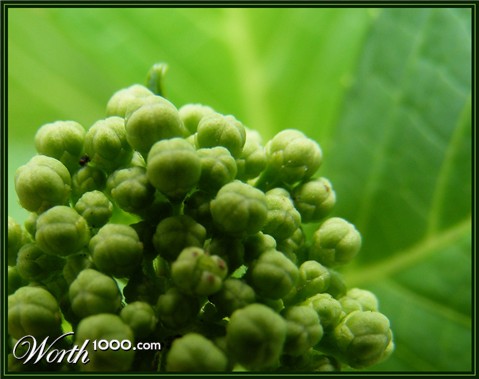 Photography by Feature