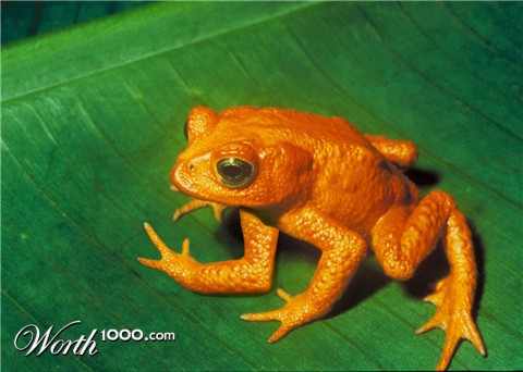 Photoshop Design by studiotexsmyth