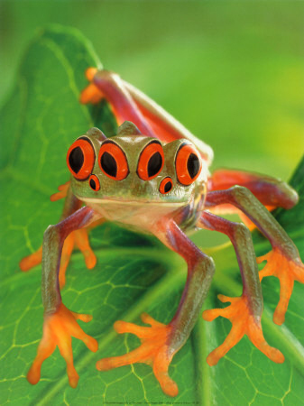 Design Photoshop par EKelman pour DesignCrowd (Community Contests) | Design #8972734