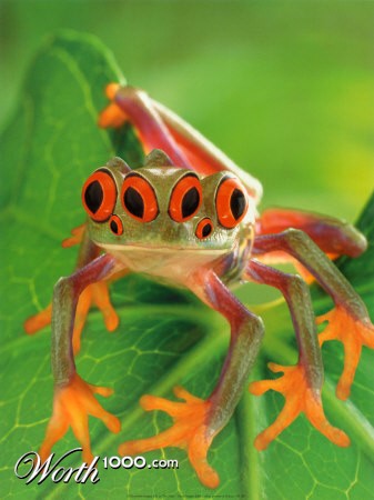 Photoshop Design by EKelman