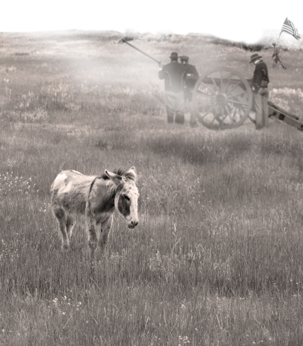 Photoshop Design by e2mq173 for DesignCrowd (Community Contests) | Design #8971787