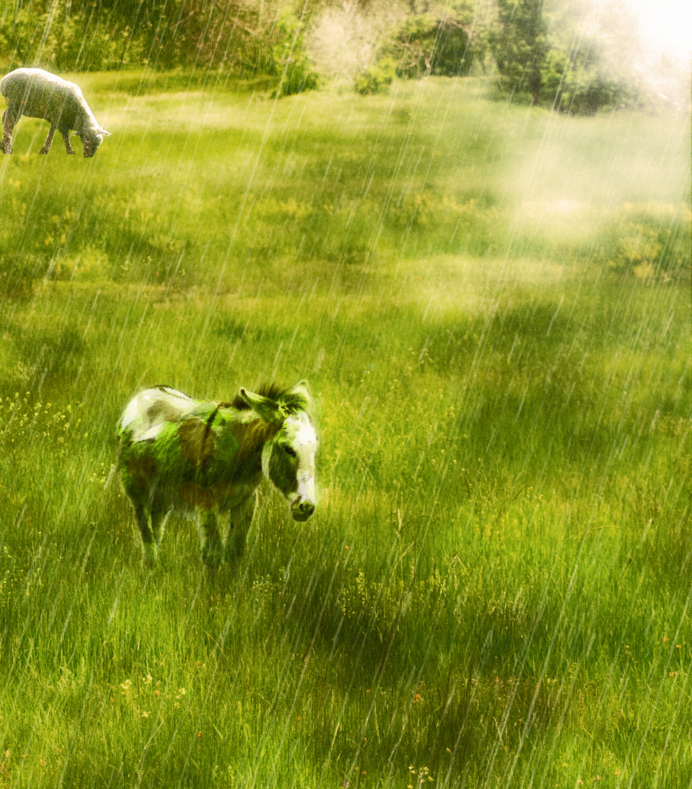 Photoshop Design by fluffiebunnie for DesignCrowd (Community Contests) | Design #8971791