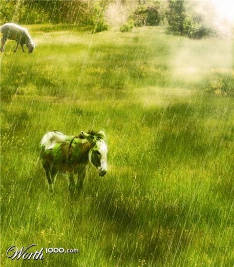 Photoshop Design by fluffiebunnie