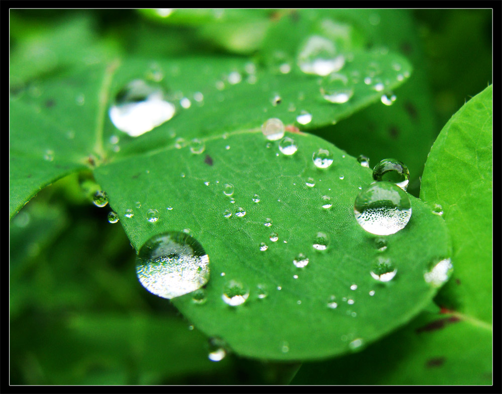 Photography by R-evolution GFX for DesignCrowd (Community Contests) | Design #8969329