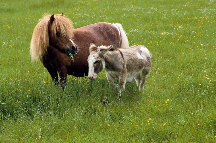 Photoshop Design by ironicsaurav for DesignCrowd (Community Contests) | Design #8971799