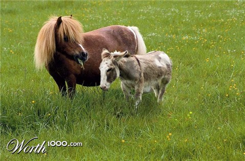 Photoshop Design by ironicsaurav