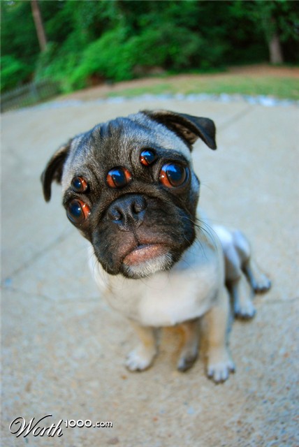 Photoshop Design by loutremauve