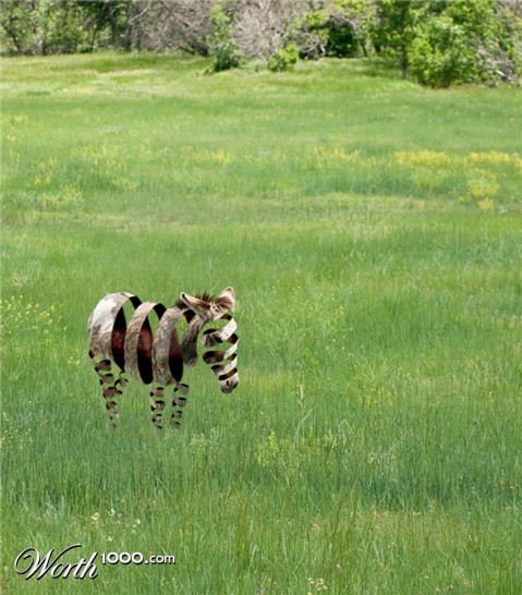 Photoshop Design by colleague