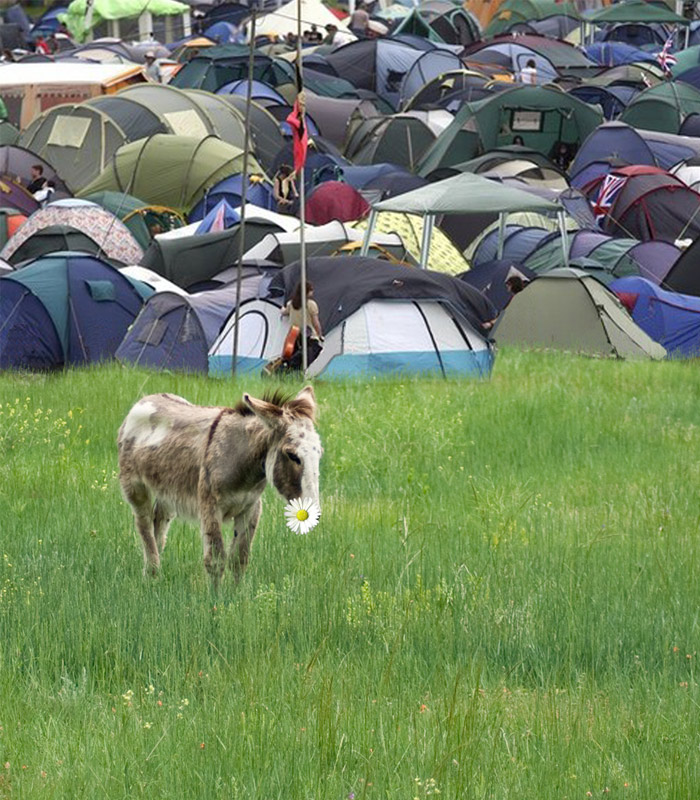 Design Photoshop par hetster pour DesignCrowd (Community Contests) | Design #8971820