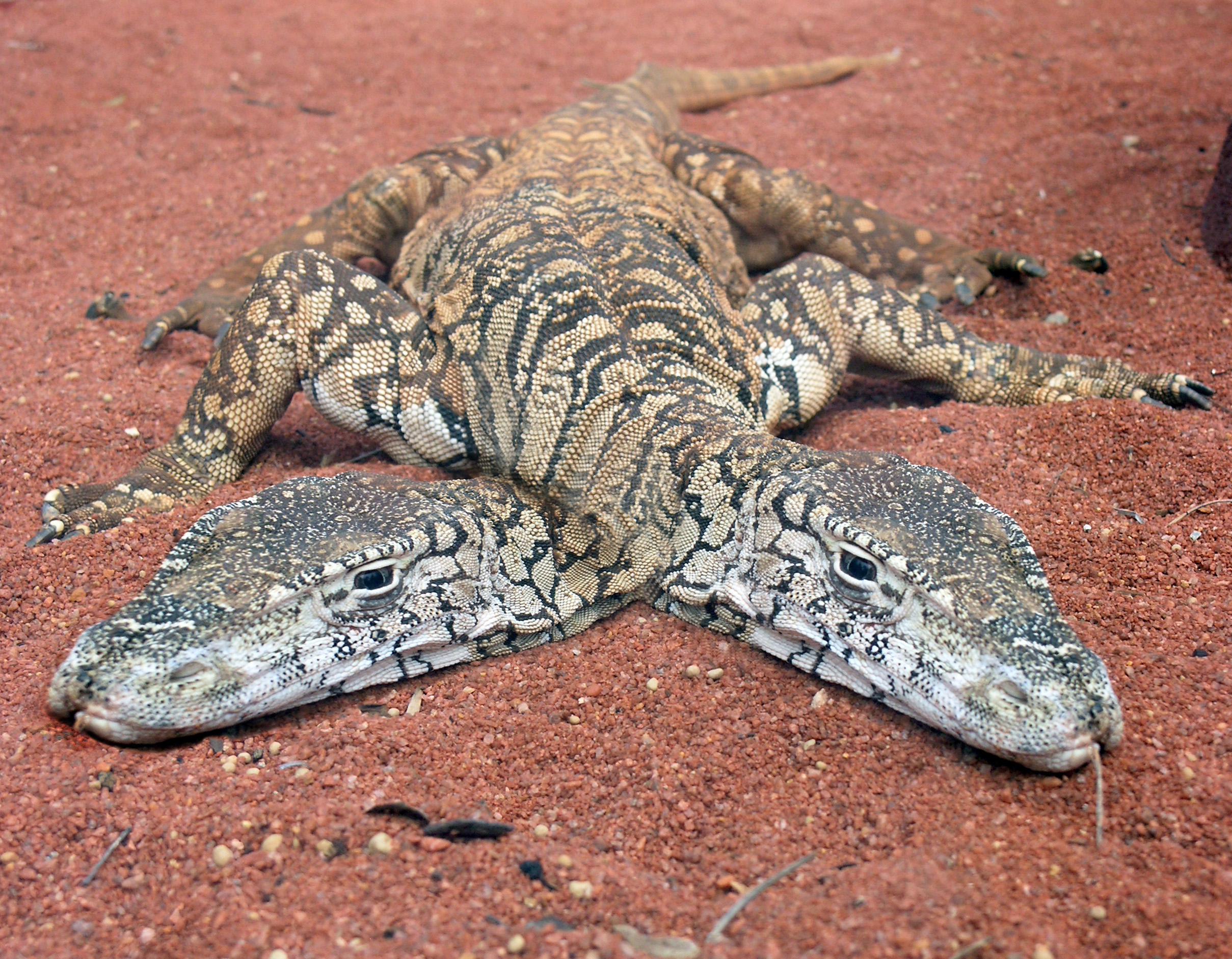 Photoshop Design by cobin31 for DesignCrowd (Community Contests) | Design #8972864