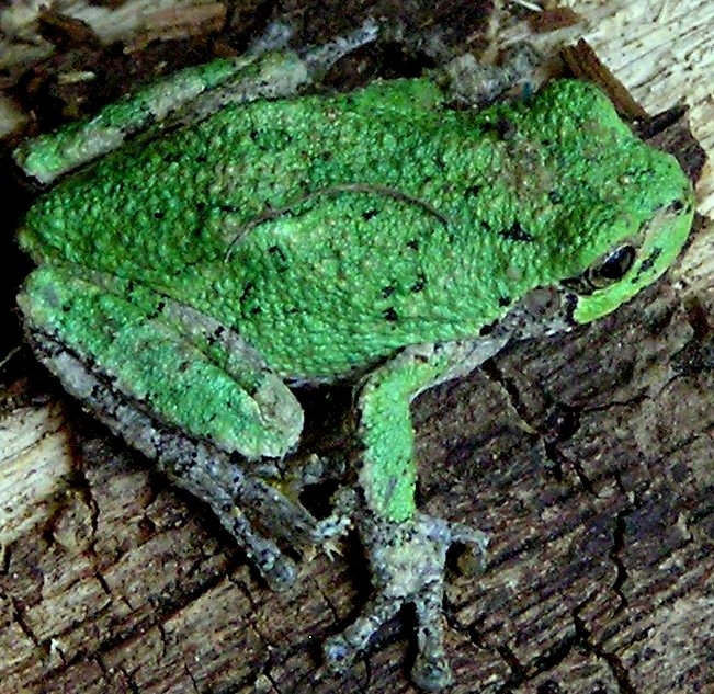 Photography by GrandmaNita for DesignCrowd (Community Contests) | Design #8969354