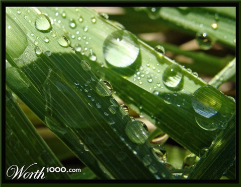 Photography by CarissaLynn