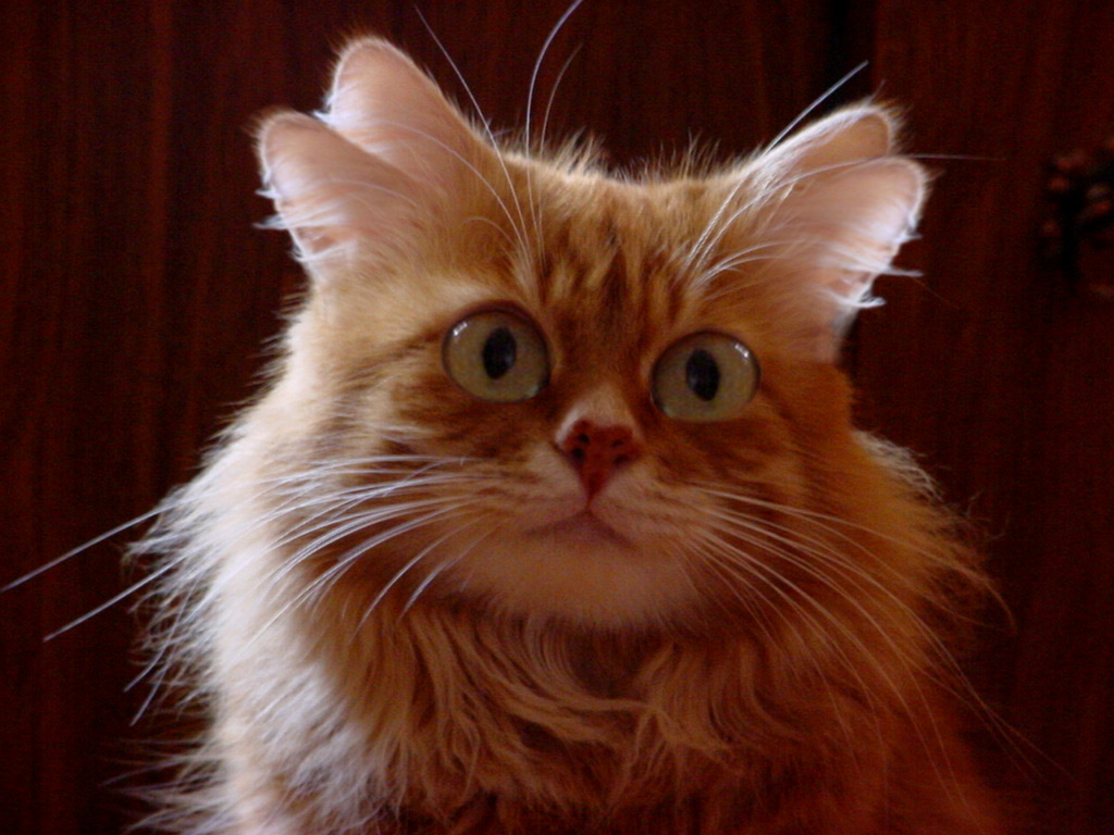 Photoshop Design by Terrence for DesignCrowd (Community Contests) | Design #8972808