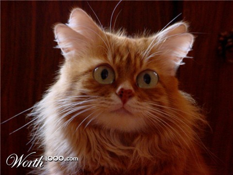 Photoshop Design by Terrence