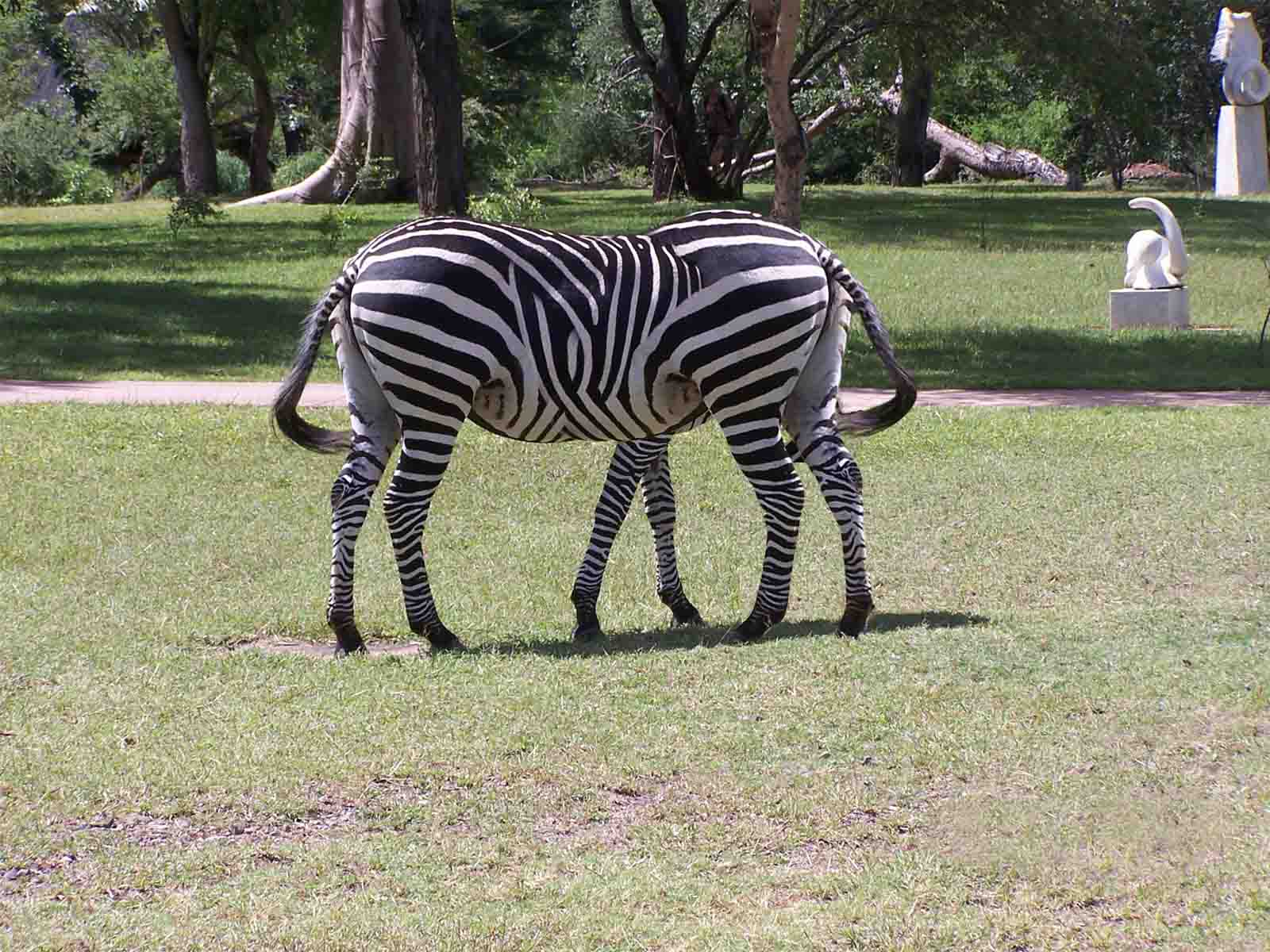 Photoshop-Design von TheBagel für DesignCrowd (Community Contests) | Design #8972882