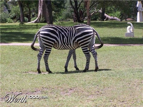 Photoshop Design by TheBagel