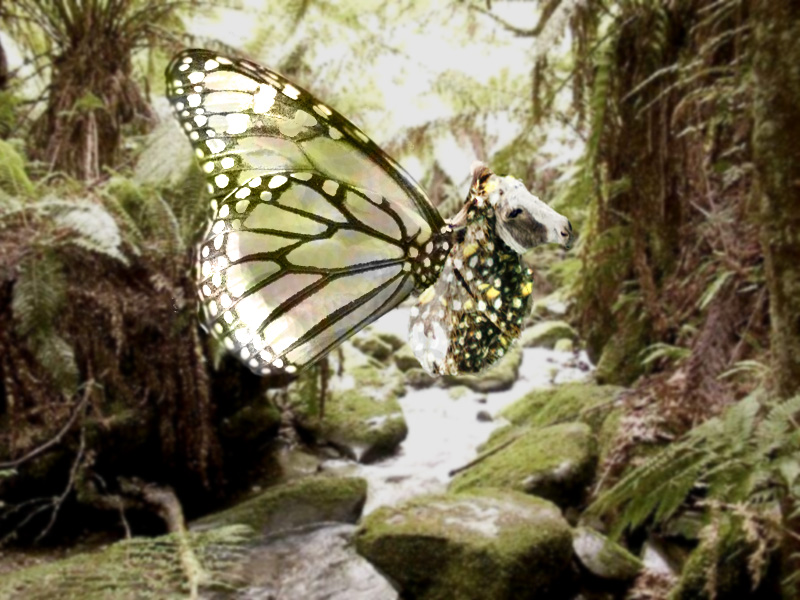Photoshop Design by Pixeltron for DesignCrowd (Community Contests) | Design #8971828