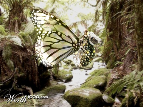 Photoshop Design by Pixeltron