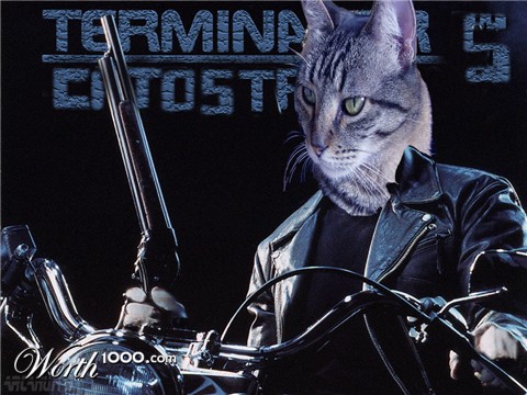 Photoshop Design by gquayle