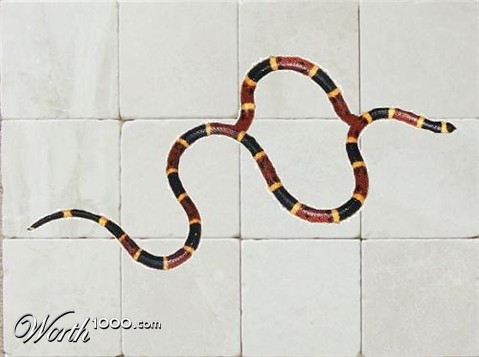 Photoshop Design by PatrickMBennett