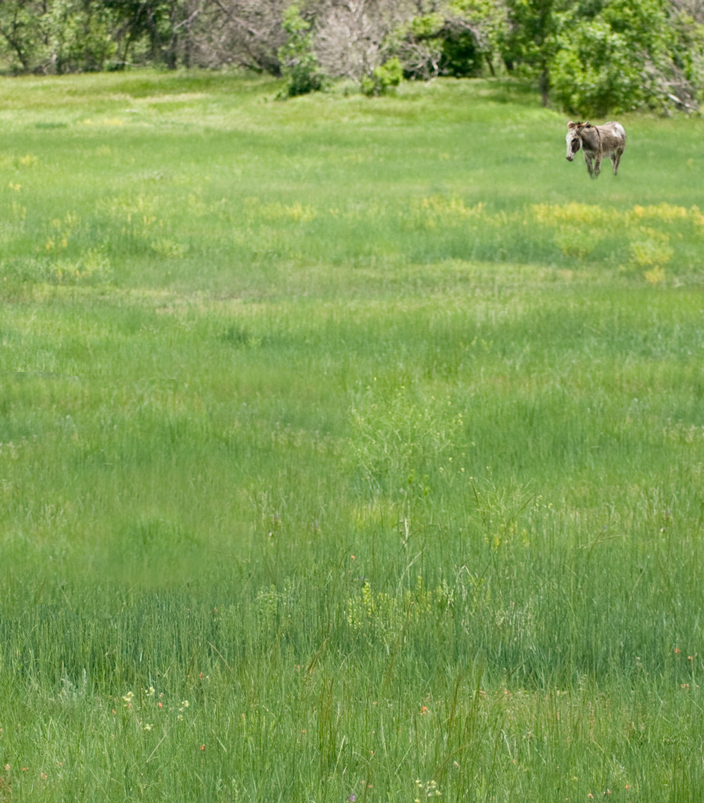 Design Photoshop par GutsAndGlory pour DesignCrowd (Community Contests) | Design #8971858