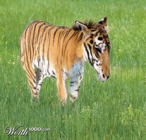 Photoshop Design by ahutty