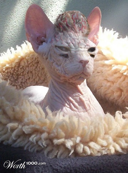 Photoshop Design by pierrX