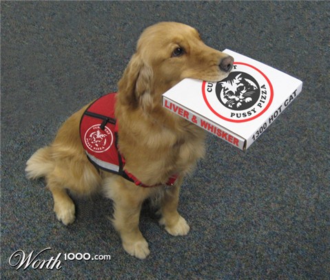 Photoshop Design by Bergs84