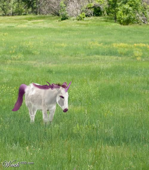 Photoshop Design by dogboy44 for DesignCrowd (Community Contests) | Design #8971865