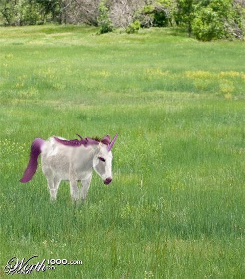 Photoshop Design by dogboy44